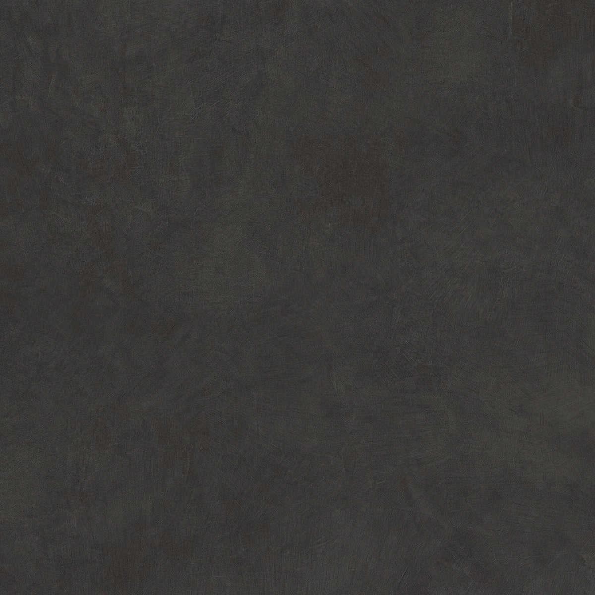 face · argillae-nocta-rect-120x120
