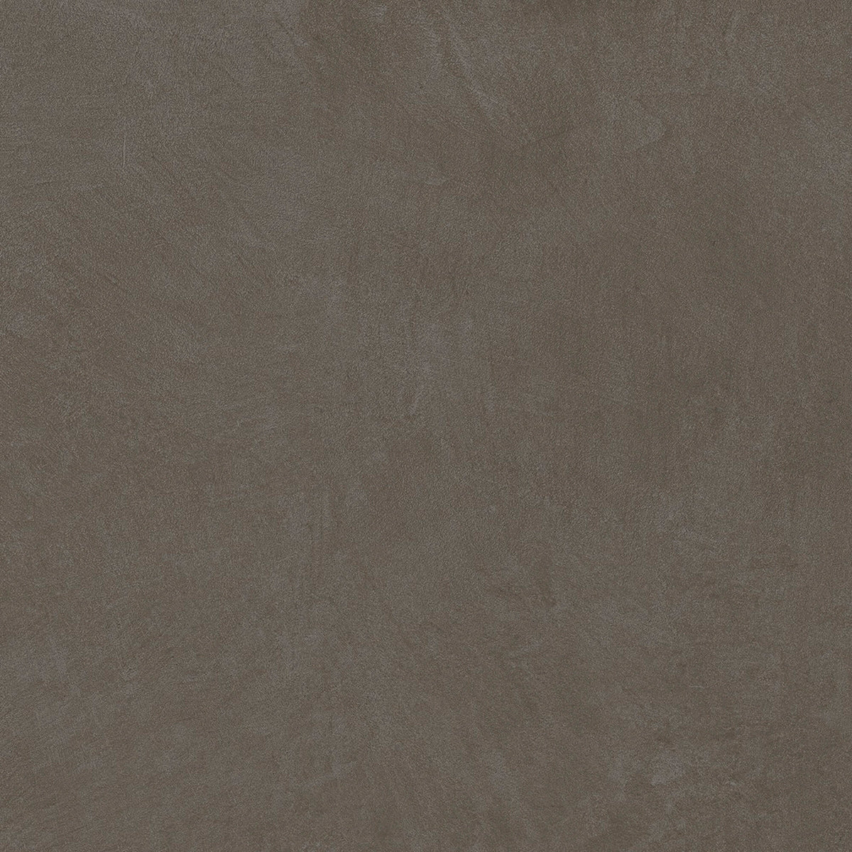 face · argillae-fumo-rect-60x60