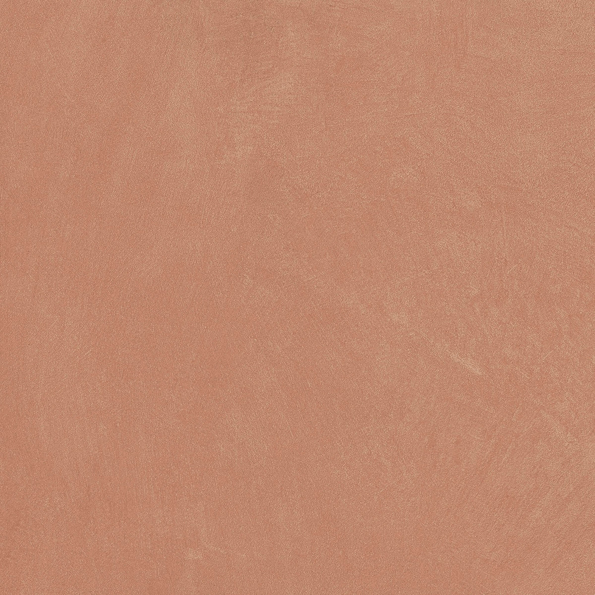 face · argillae-gobi-rect-60x60