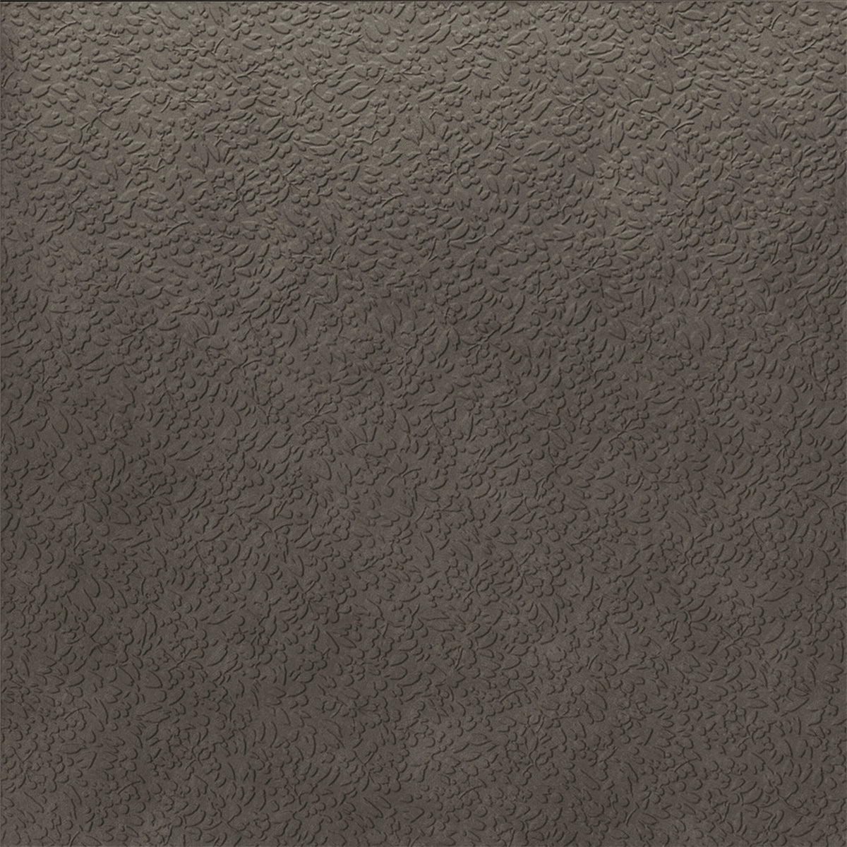 face · nisus-fumo-rect-120x120