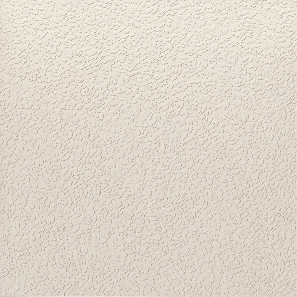 face · nisus-neve-rect-120x120