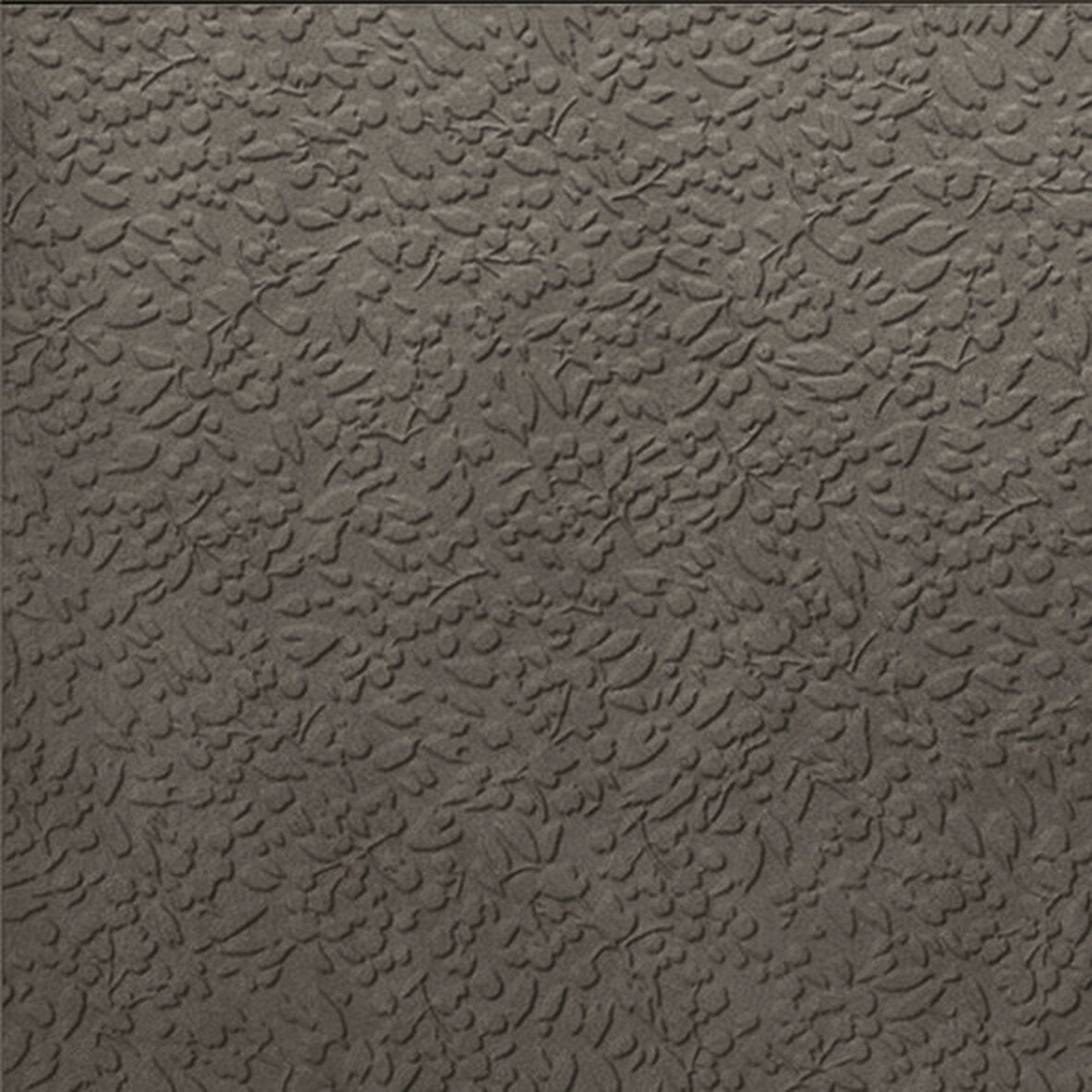 face · nisus-fumo-rect-60x60