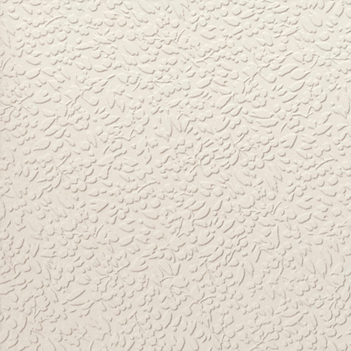 face · nisus-neve-rect-60x60