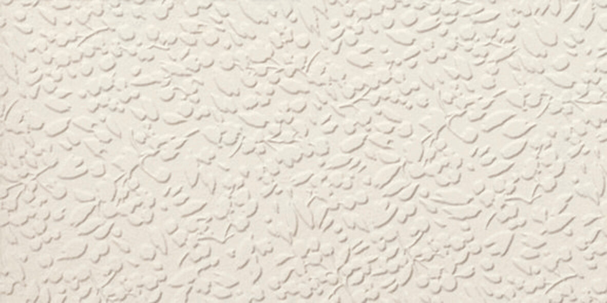 face · nisus-neve-rect-30x60