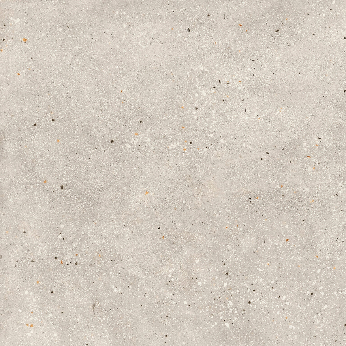 face · ama-avorio-rect-90x90