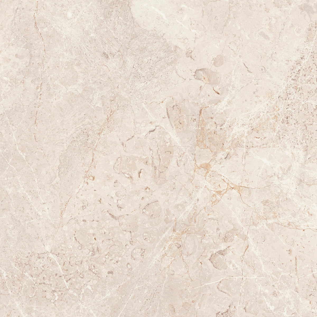 face · augustus-cream-rect-60x60