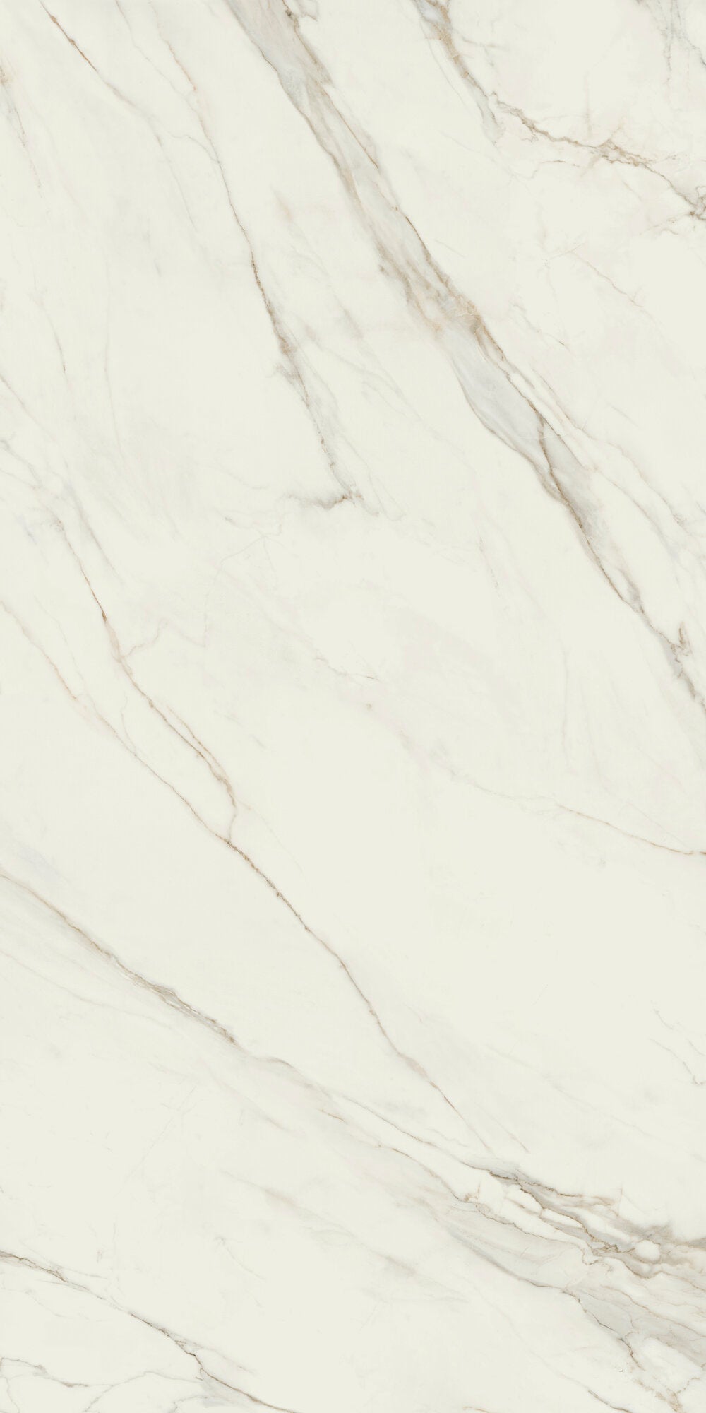 face · calacatta-white-soft-b-163x323x12