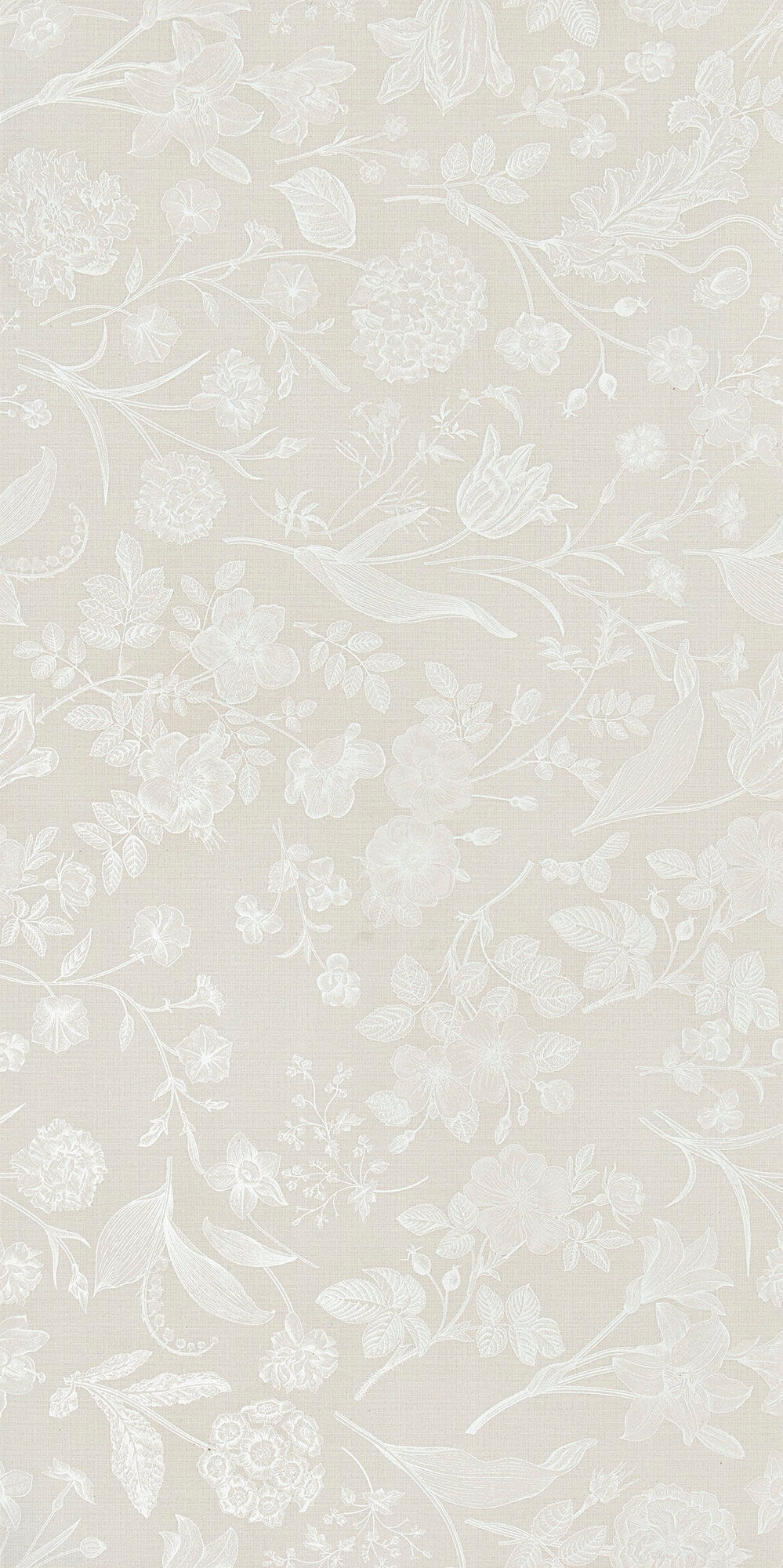 face · varenna-grigio-rect-60x120