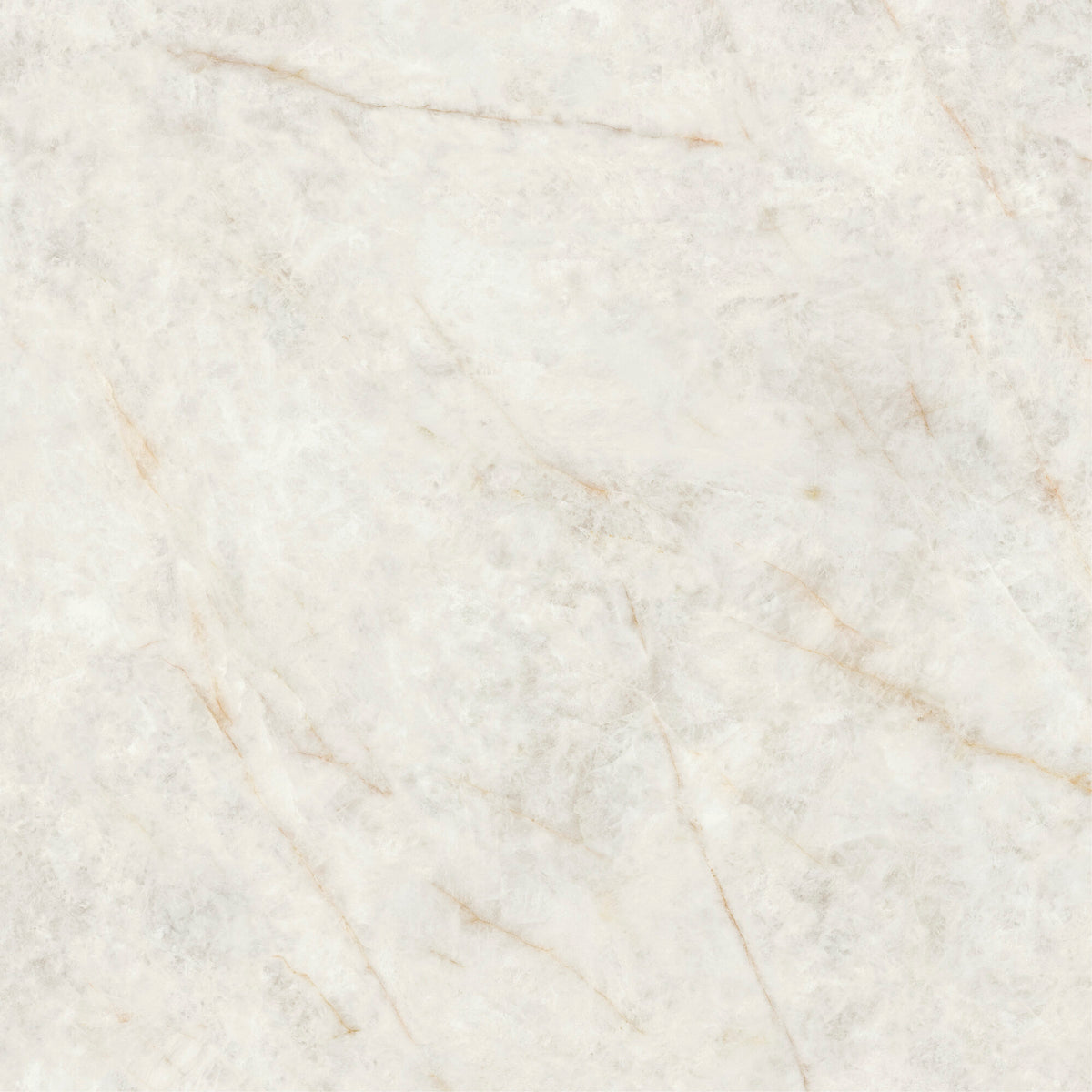 face · cristallo-bianco-pol-rect-120x120