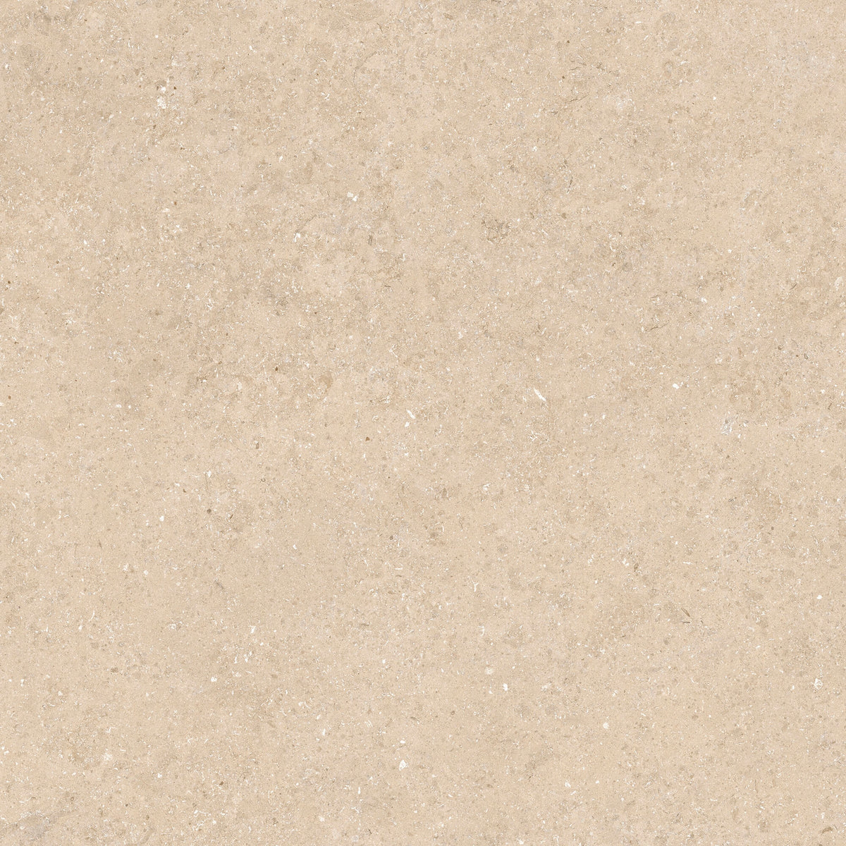 face · kyoto-beige-rect-60x60