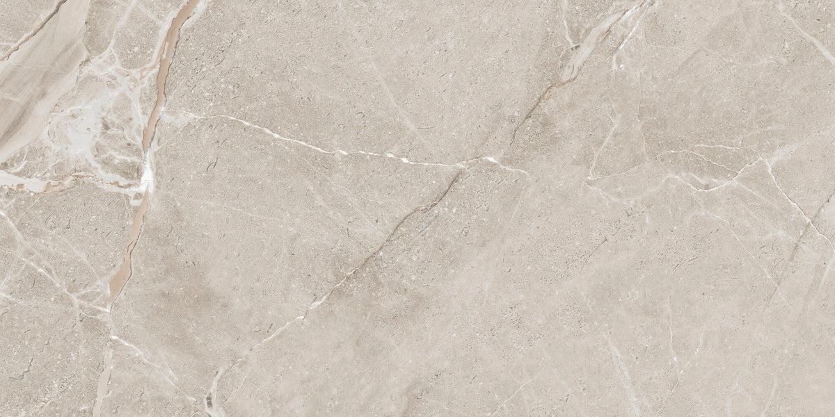 face · colemanite-stone-grey-rect-60x120