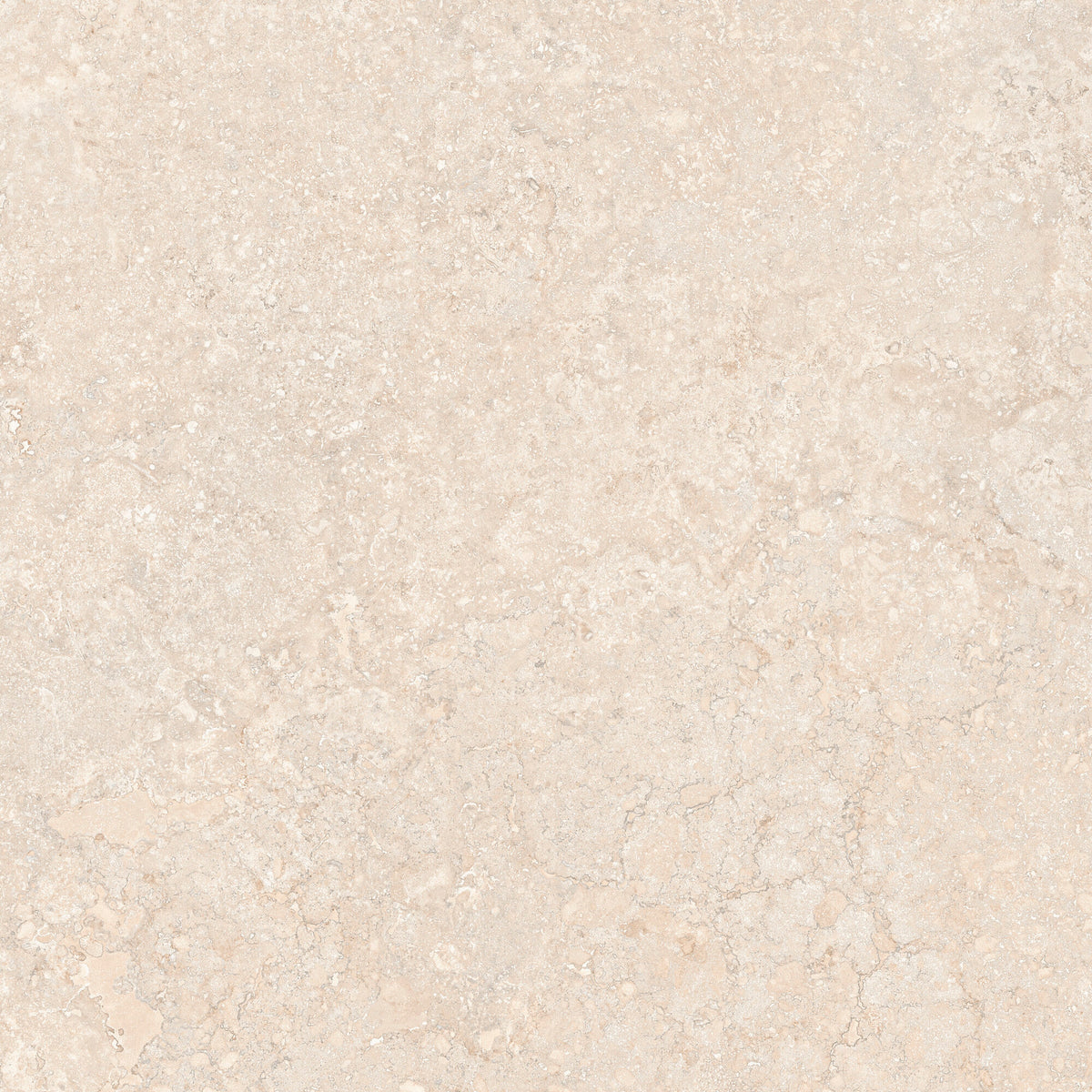face · tirrenia-ivory-rect-120x120