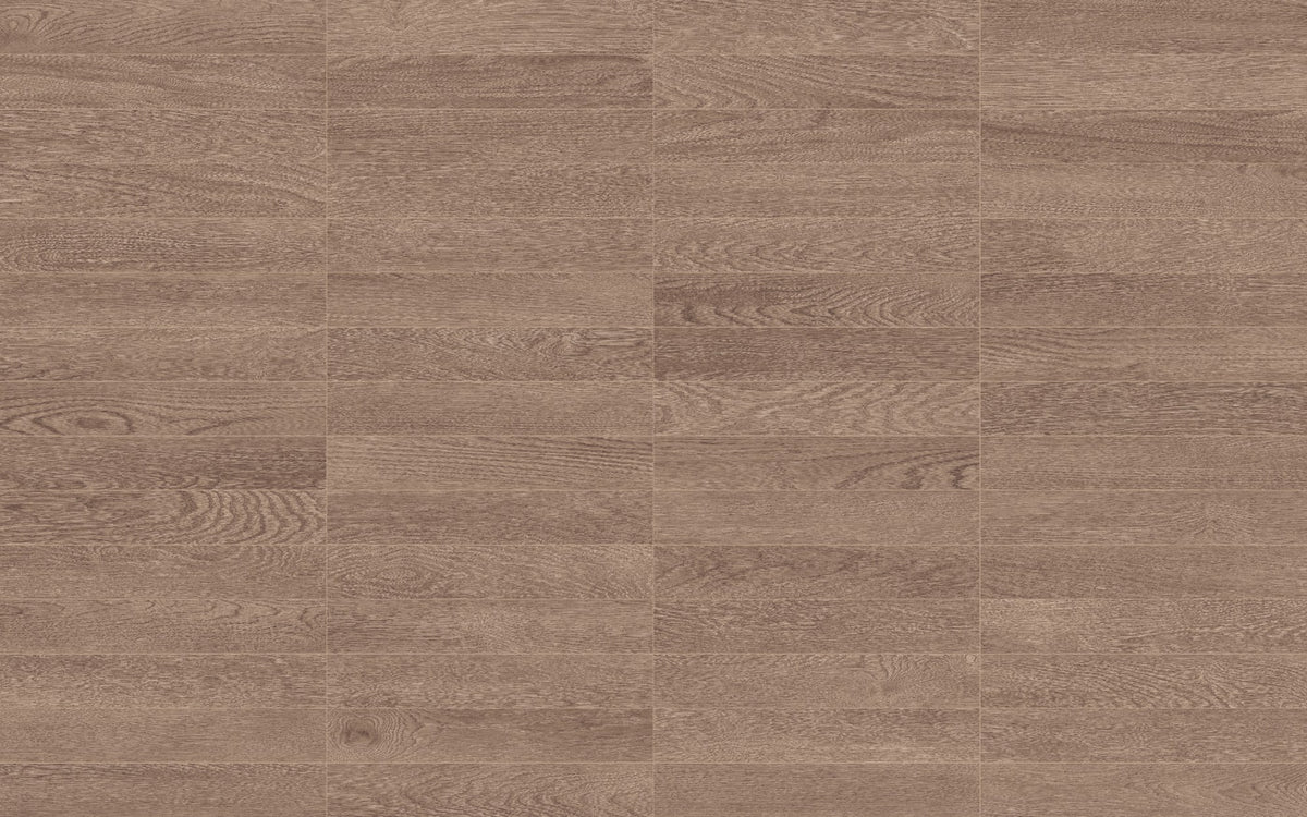 face · alba-02-aureo-10x60-layout