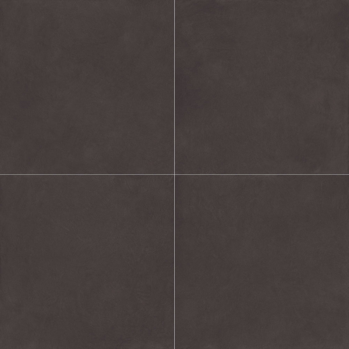 face · argillae-nocta-rect-120x120-layout