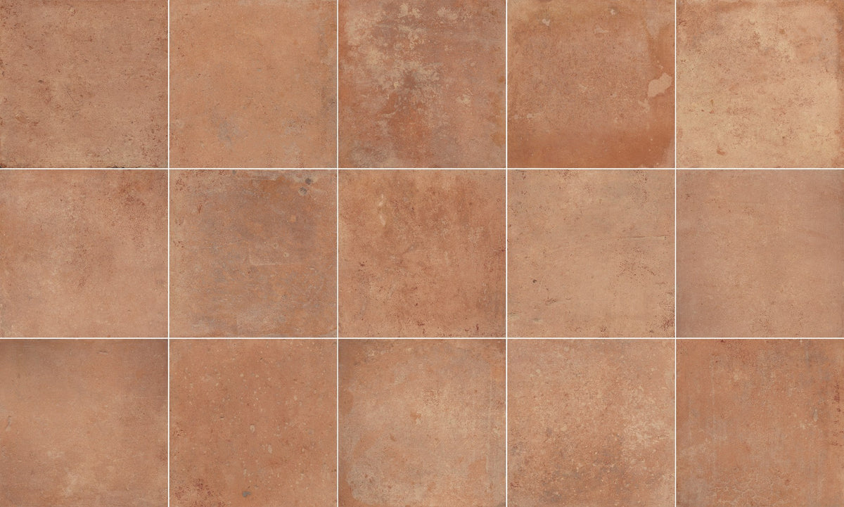 face · cleo-natural-20x20-layout