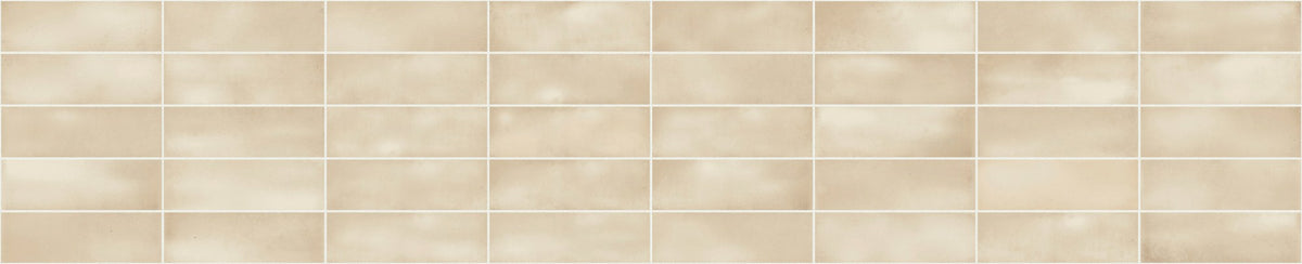 face · ispal-bone-65x20-layout