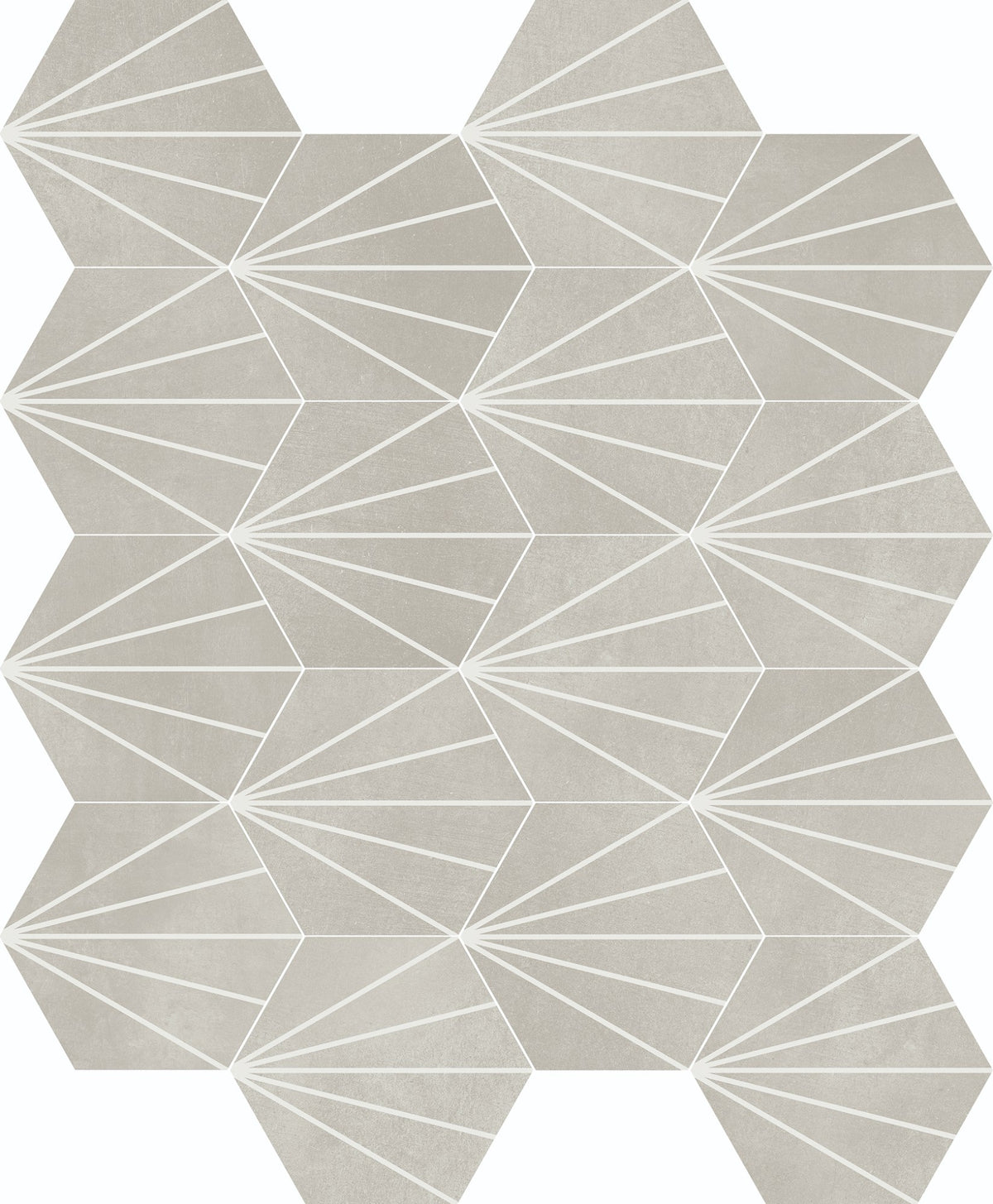 face · sunny-grey-23x261-layout
