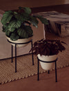 Daiza Planter by Audo styled in a warm interior with leafy plants on a woven rug – In Dubai by WSPR