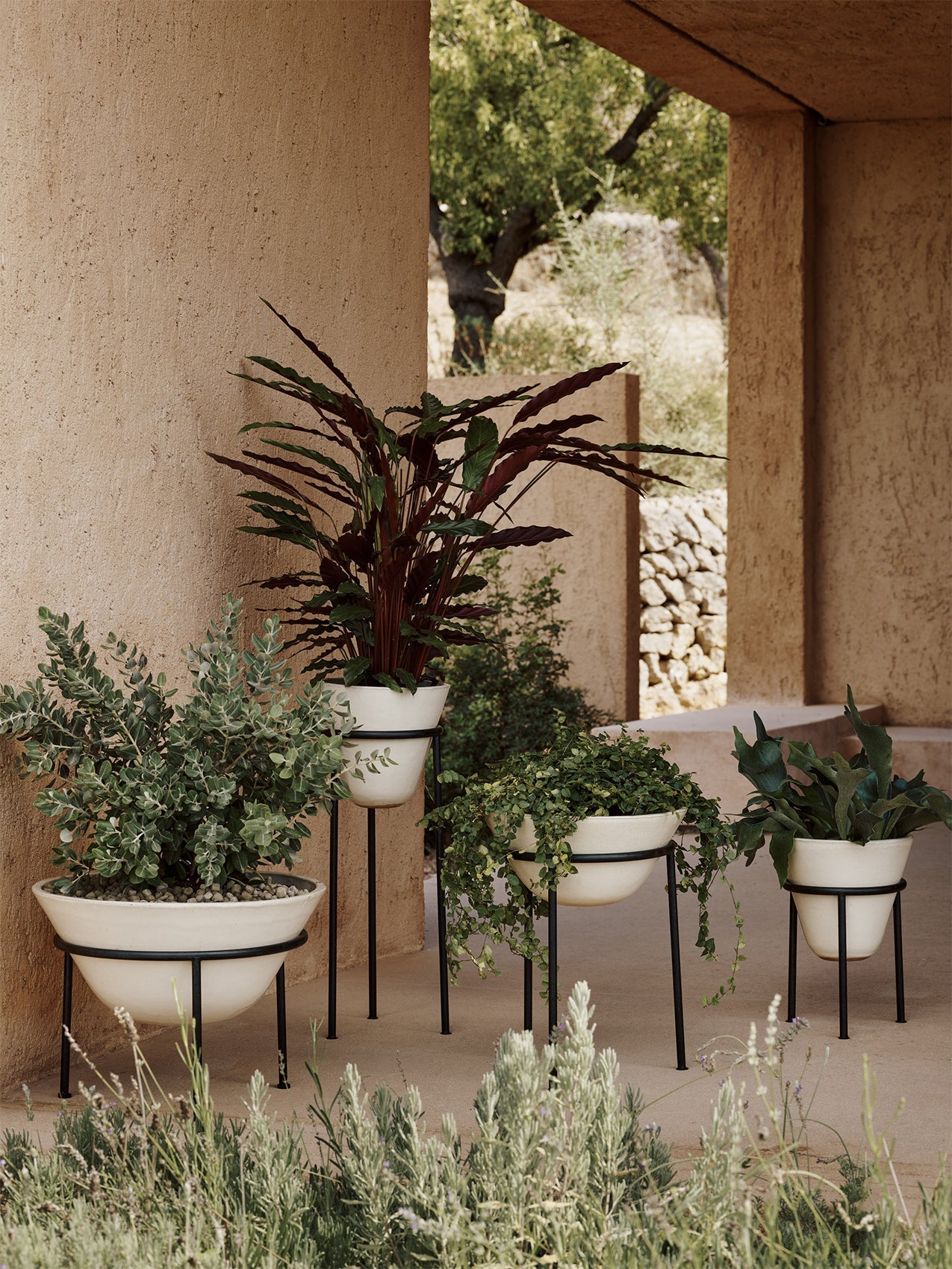 Daiza Planter by Audo styled in a group of planters on a sunlit terrace with green plants – In Dubai by WSPR