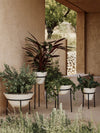 Daiza Planter by Audo styled in a group of planters on a sunlit terrace with green plants – In Dubai by WSPR