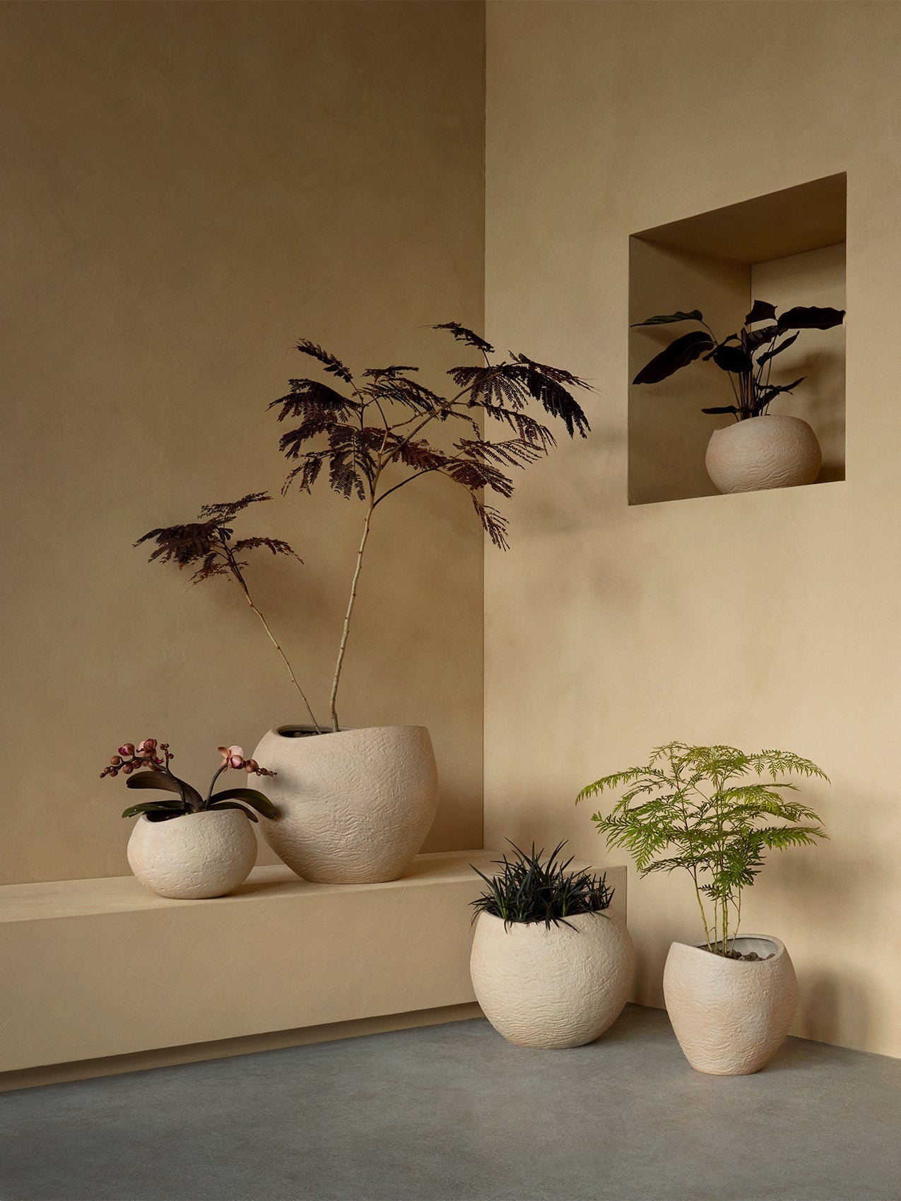 Plantas Planter by Audo styled in a sunlit corner with a wall niche and several planters – In Dubai by WSPR
