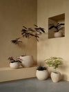 Plantas Planter by Audo styled in a sunlit corner with a wall niche and several planters – In Dubai by WSPR