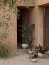 Plantas Planter by Audo styled in a sandy courtyard with green plants – In Dubai by WSPR