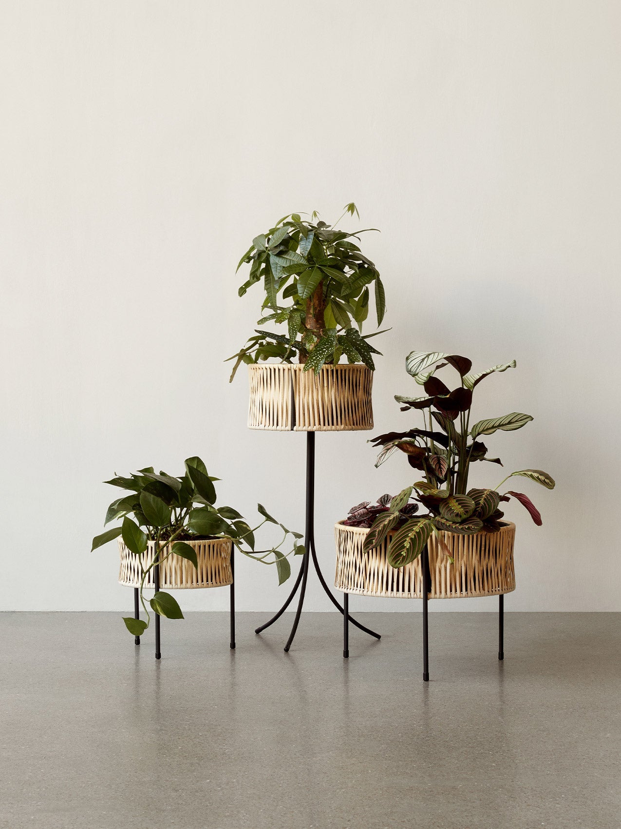 Umanoff Planters by Audo styled as a group of three with green plants – In Dubai by WSPR