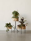 Umanoff Planters by Audo styled as a group of three with green plants – In Dubai by WSPR
