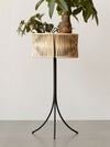 Umanoff Planter by Audo, tall size close-up of the woven rattan with a plant – In Dubai by WSPR