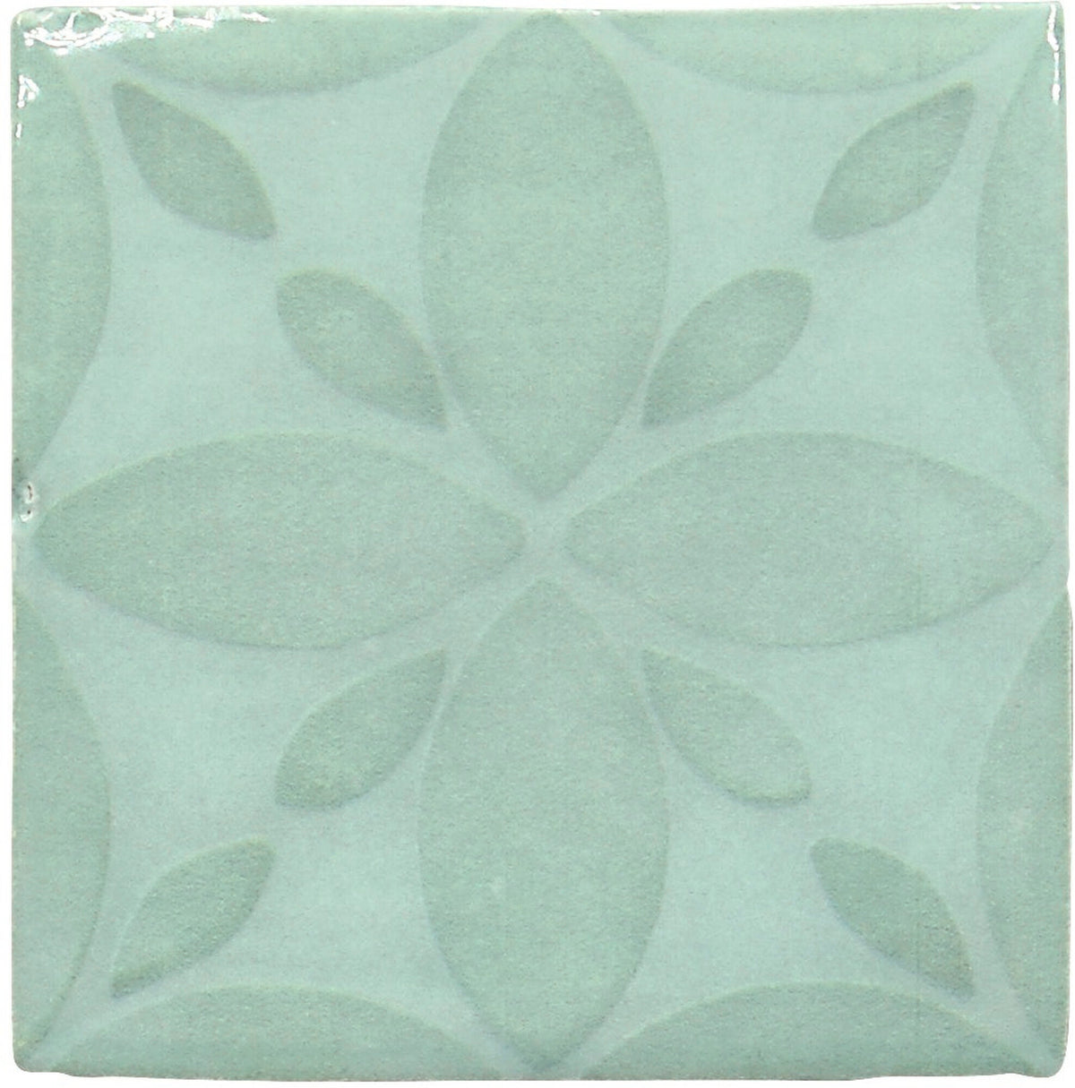 face · mariza-acqua-13x13