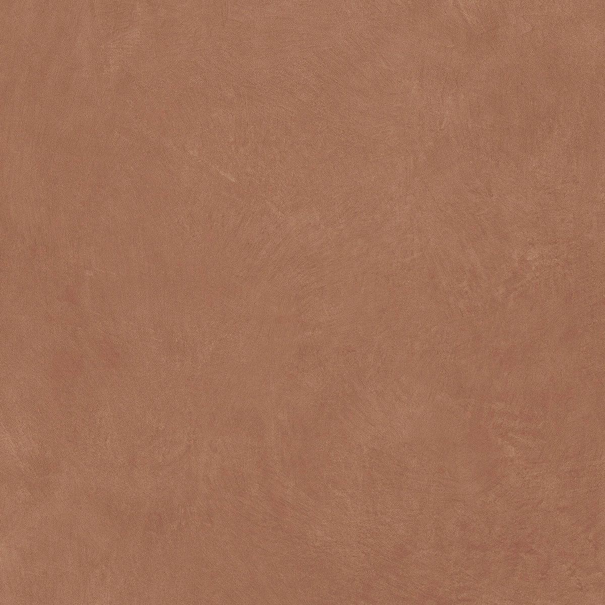 face · argillae-terra-rect-120x120
