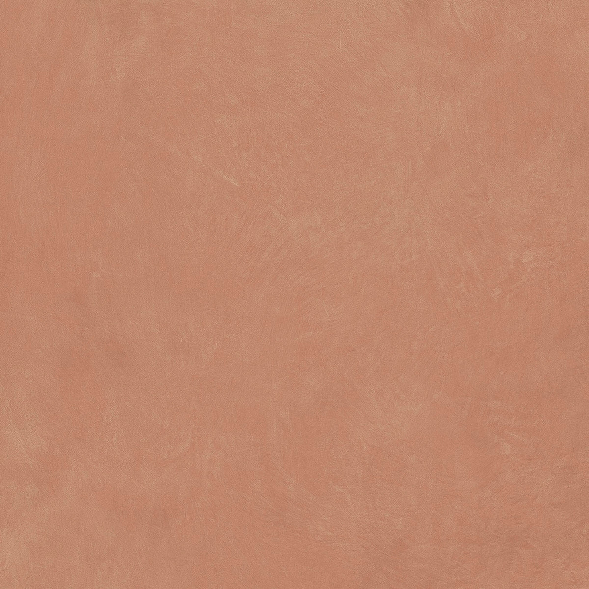 face · argillae-gobi-rect-120x120