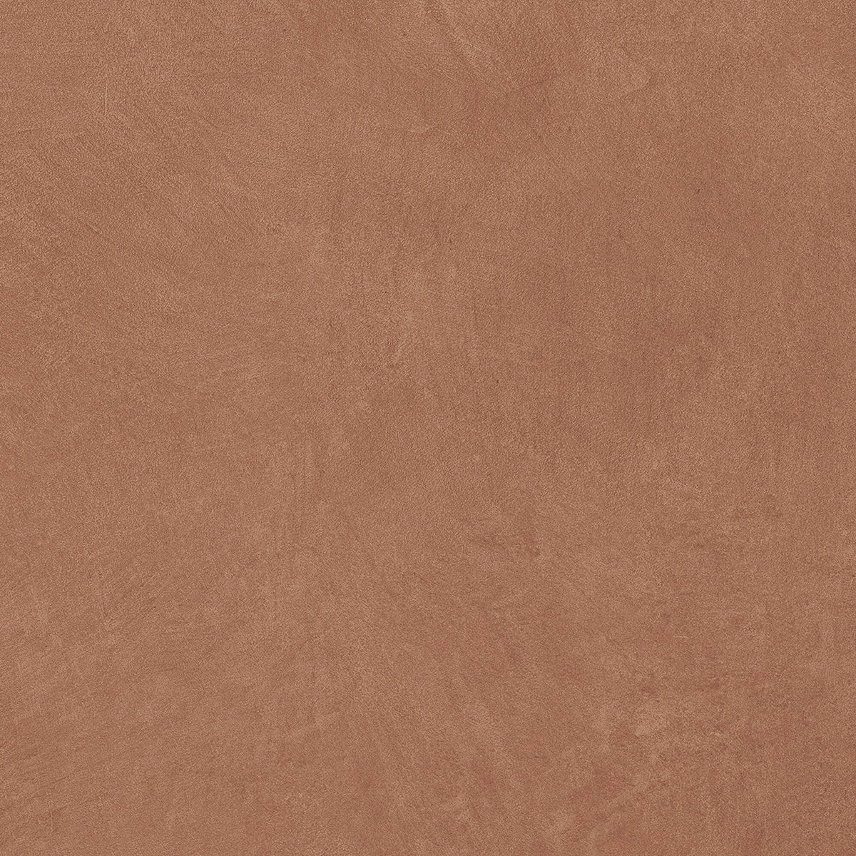 face · argillae-terra-rect-60x60