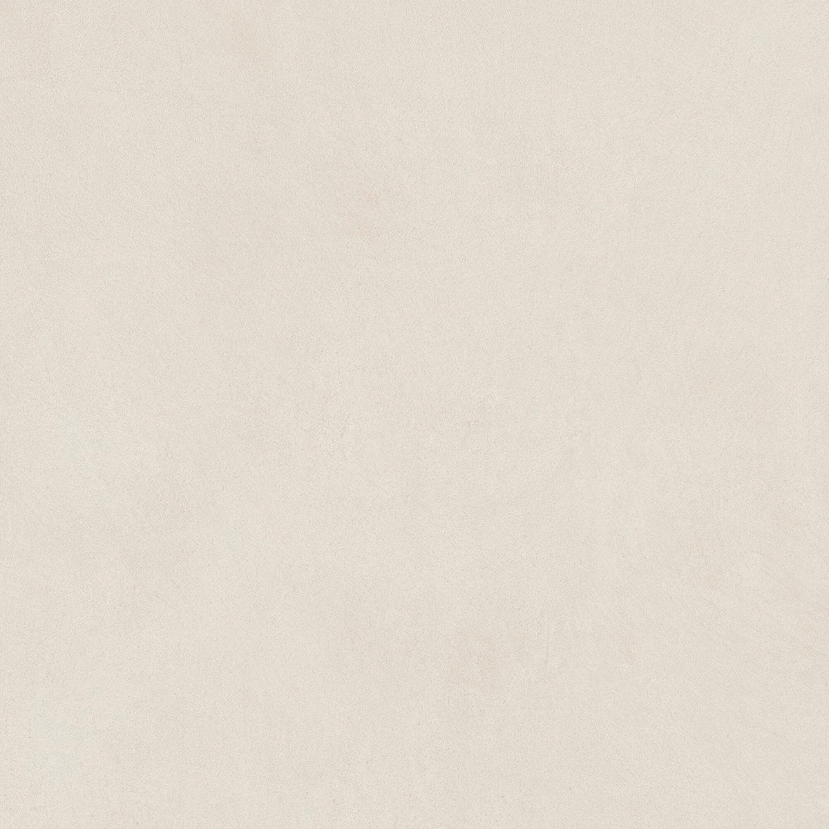 face · argillae-neve-rect-60x60
