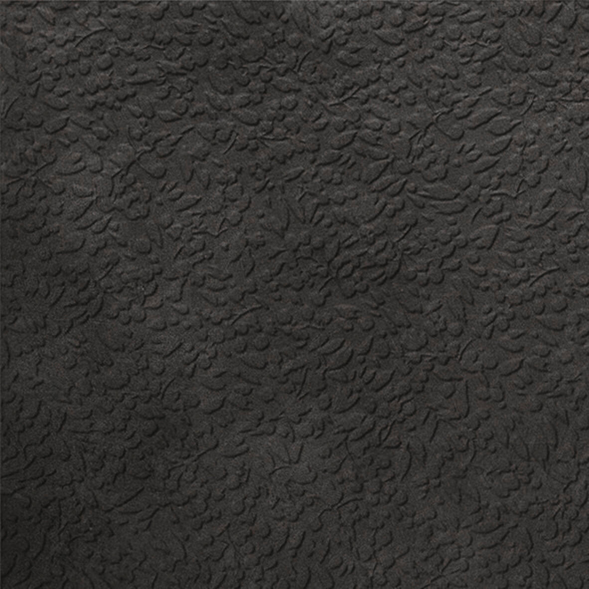 face · nisus-nocta-rect-60x60