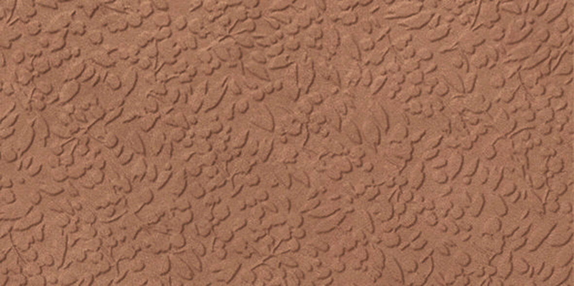 face · nisus-terra-rect-30x60