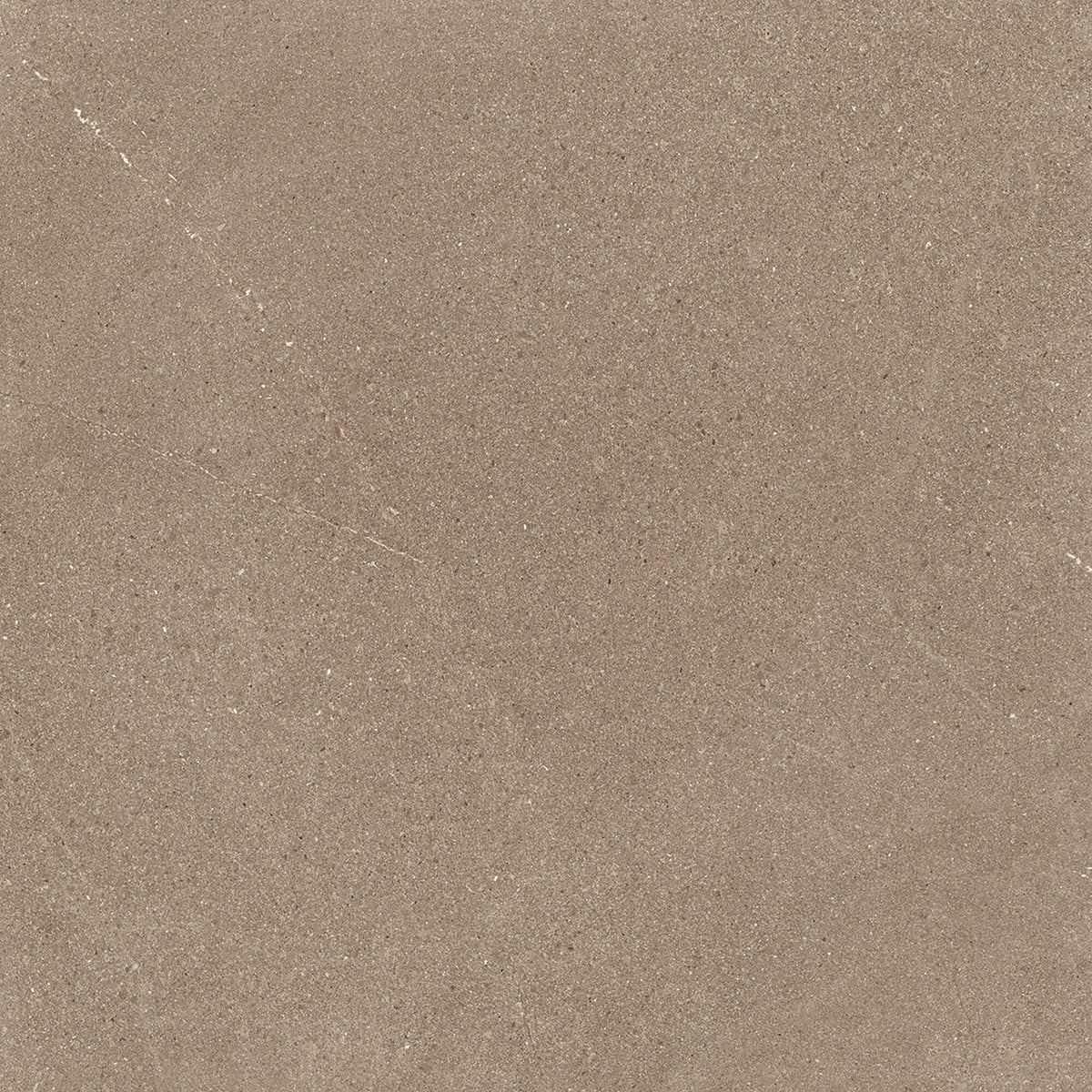 face · burlington-taupe-rect-60x60