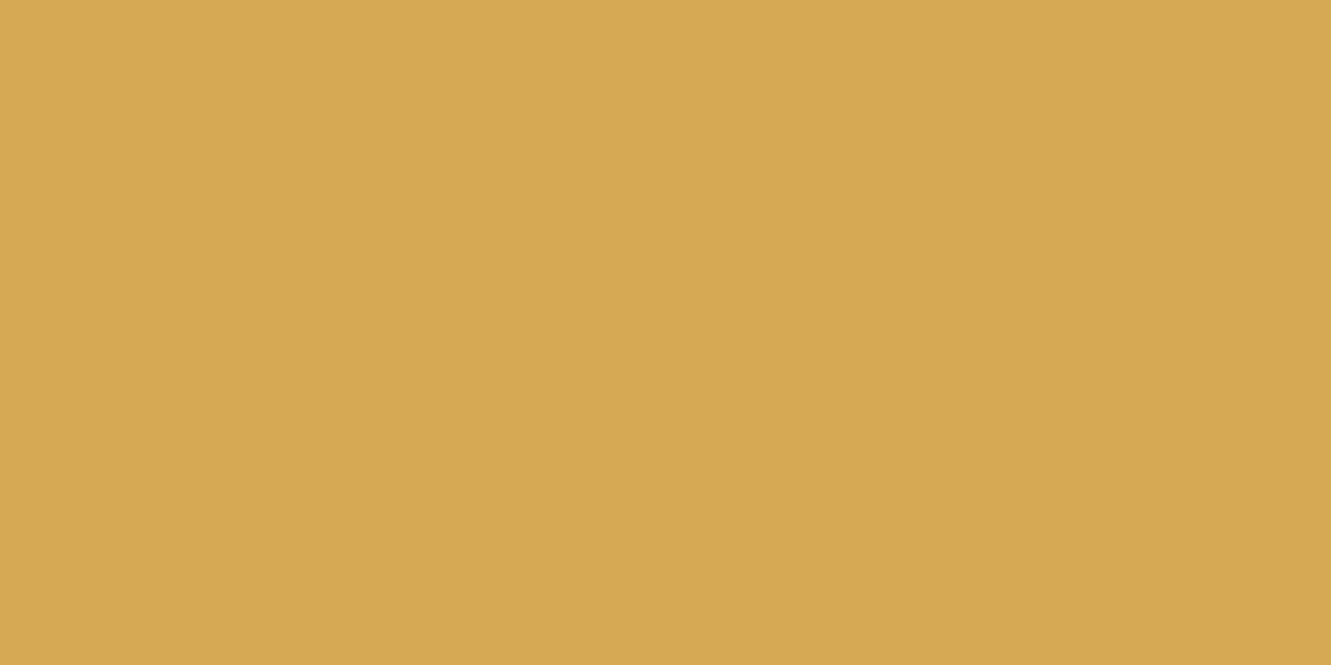 face · fortune-pol-rect-60x120