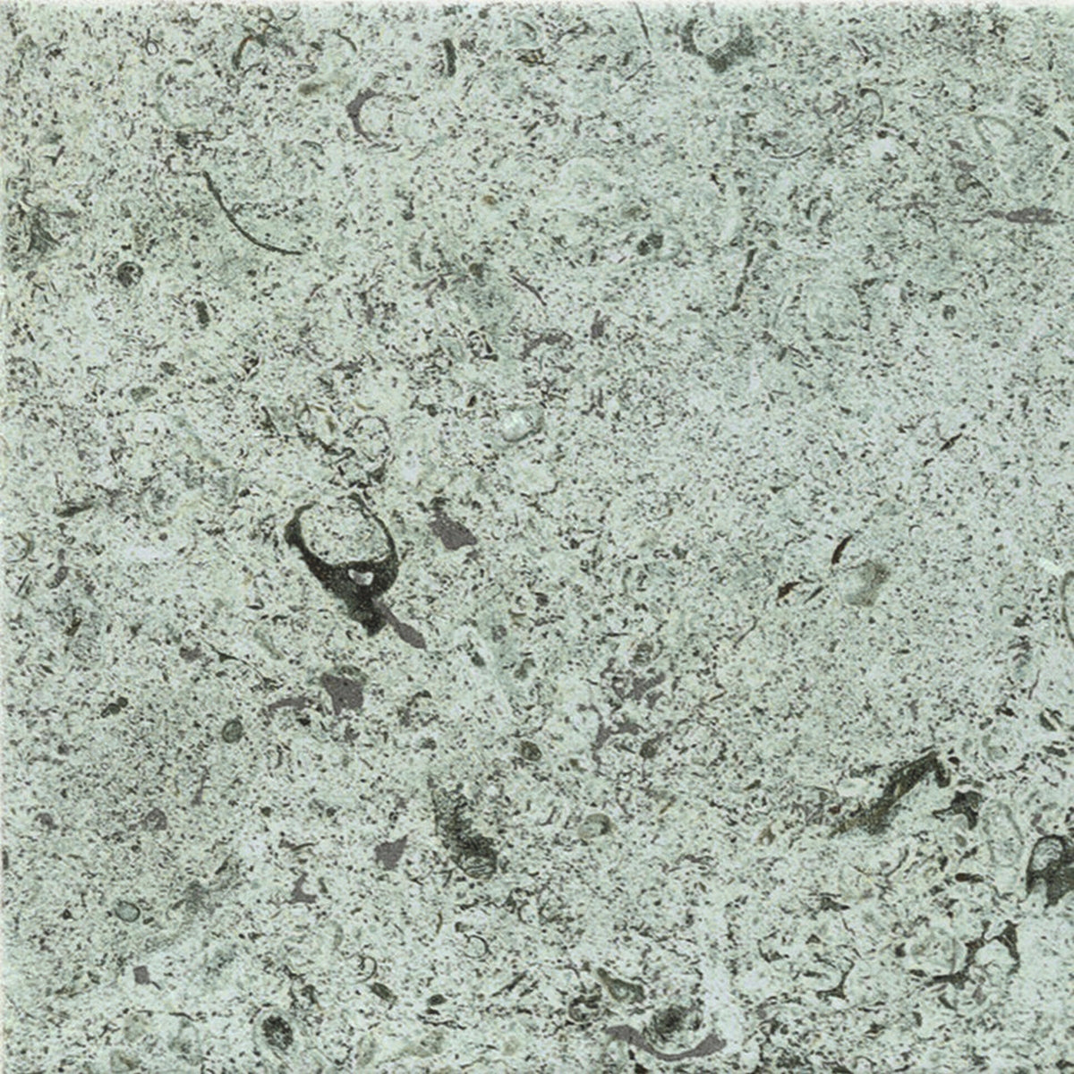 face · hijau-green-15x15