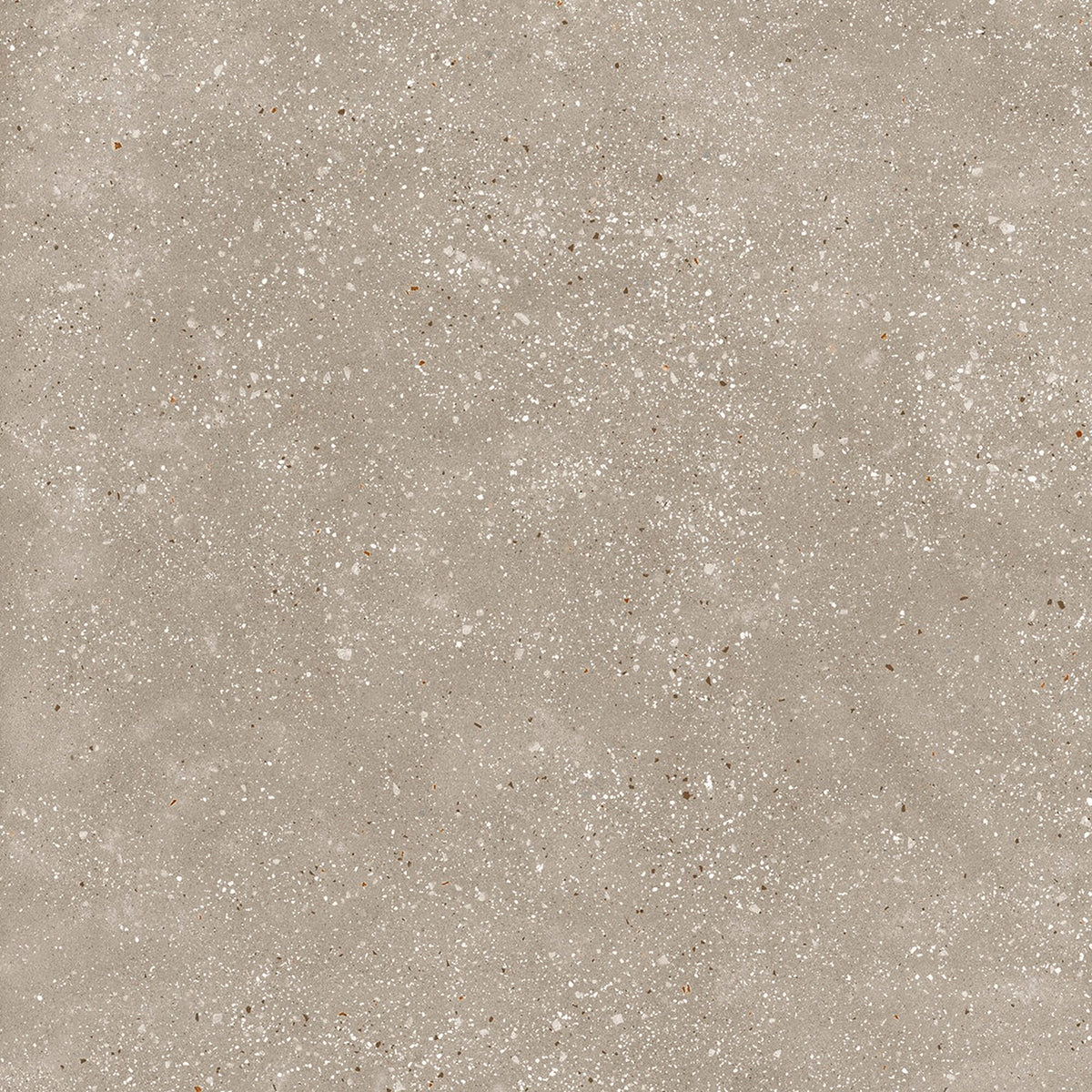 face · ama-tortora-rect-90x90