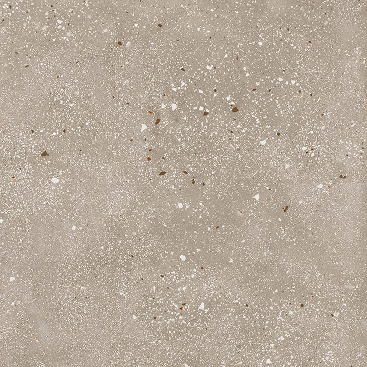 face · ama-tortora-rect-60x60