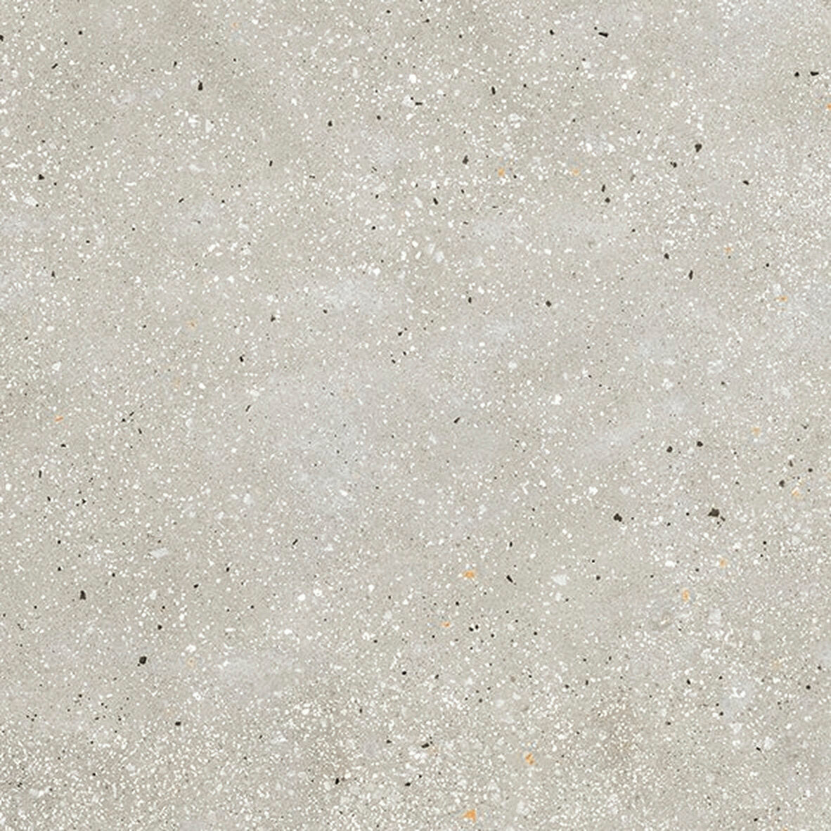 face · ama-grigio-rect-60x60