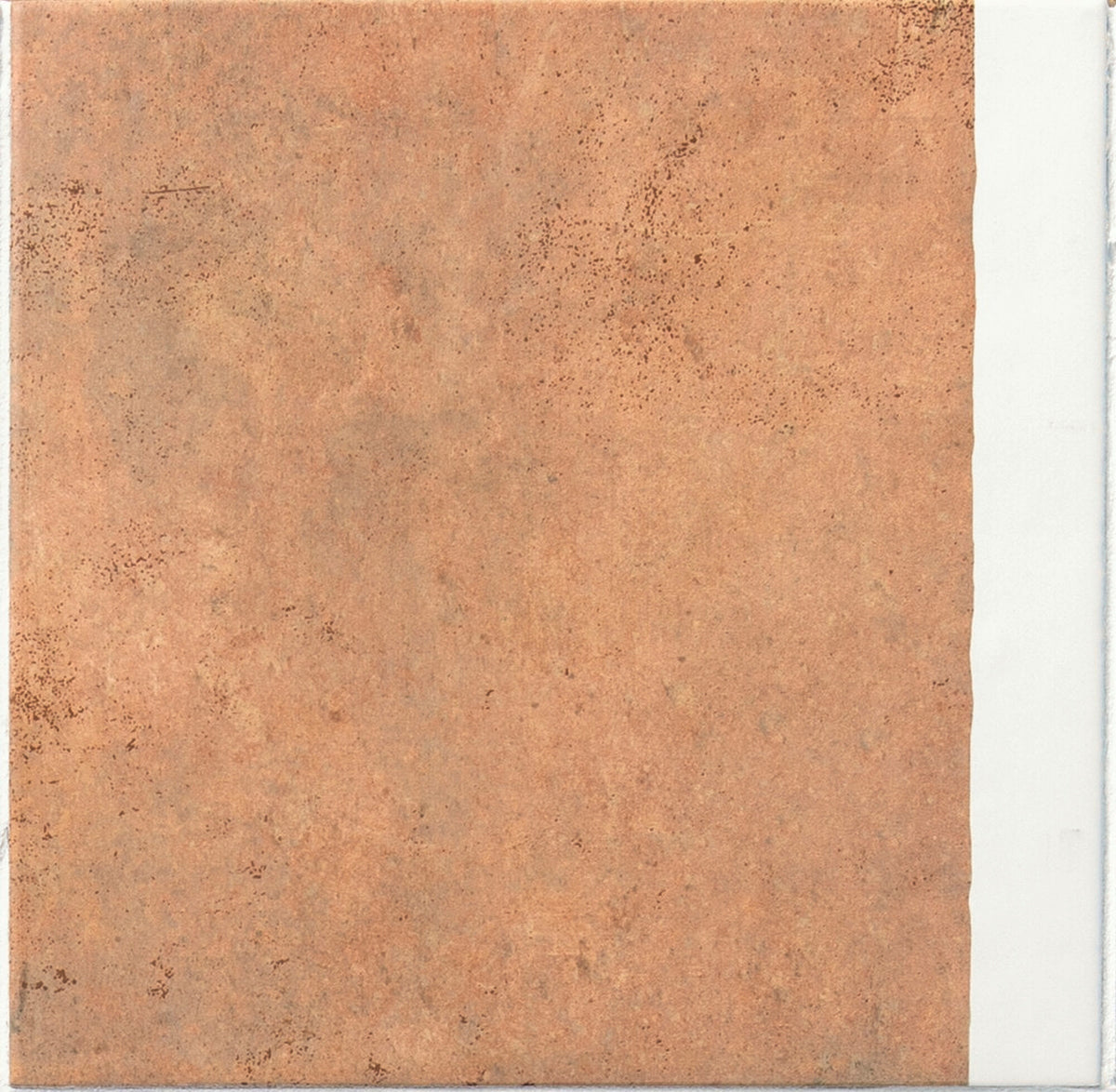 face · side-20x20