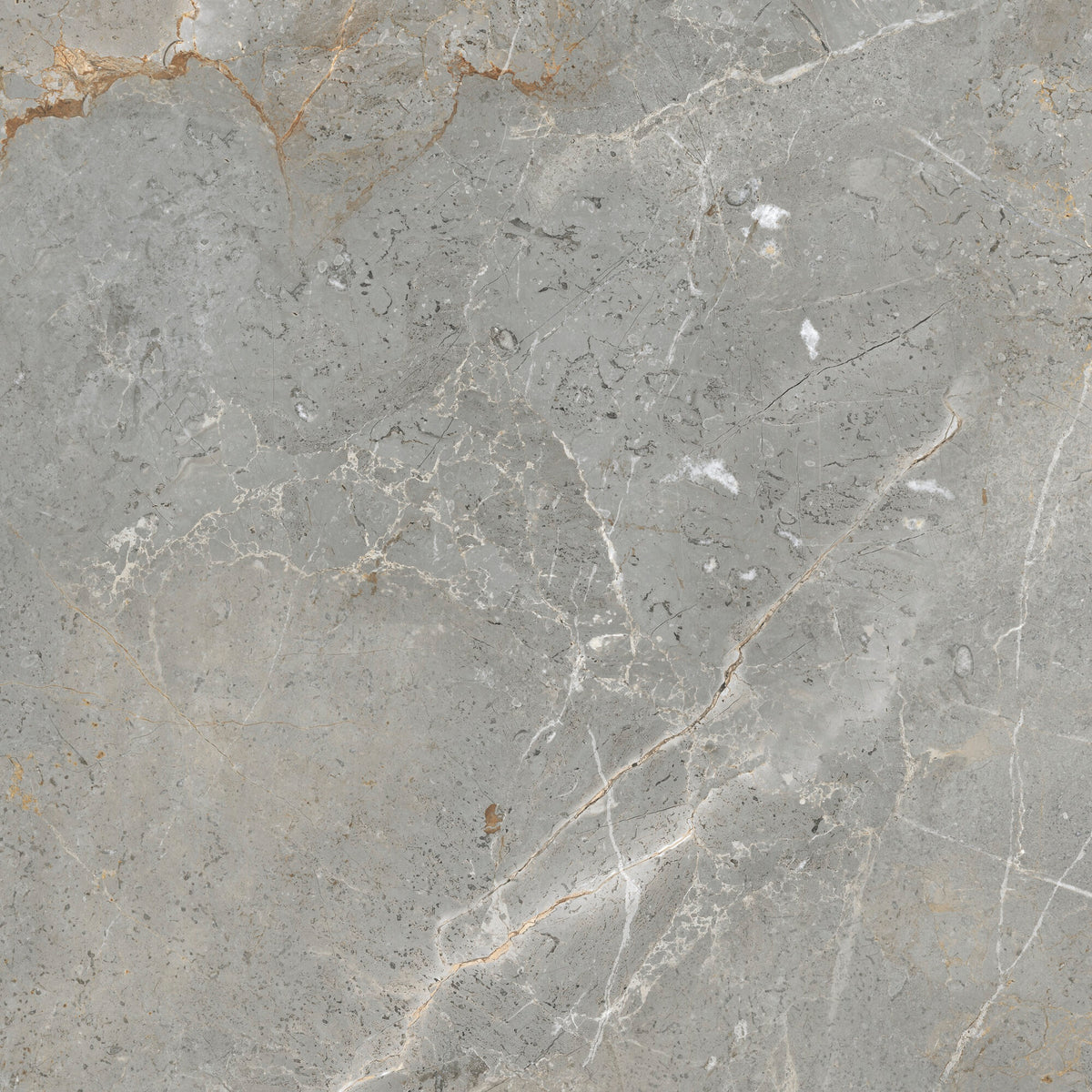 face · augustus-grey-rect-60x60