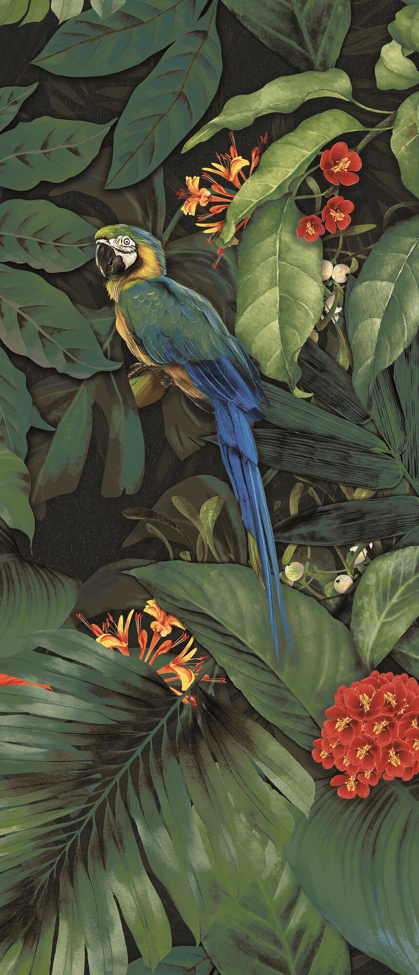 face · decor-papagayo-i-120x280