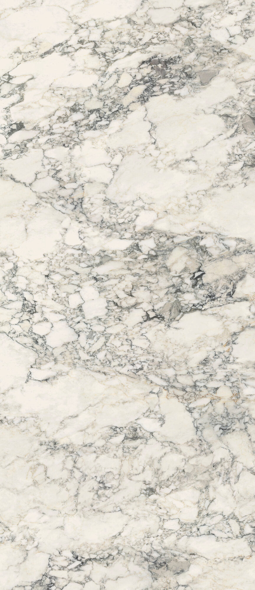 face · volterra-white-pol-rect-120x278