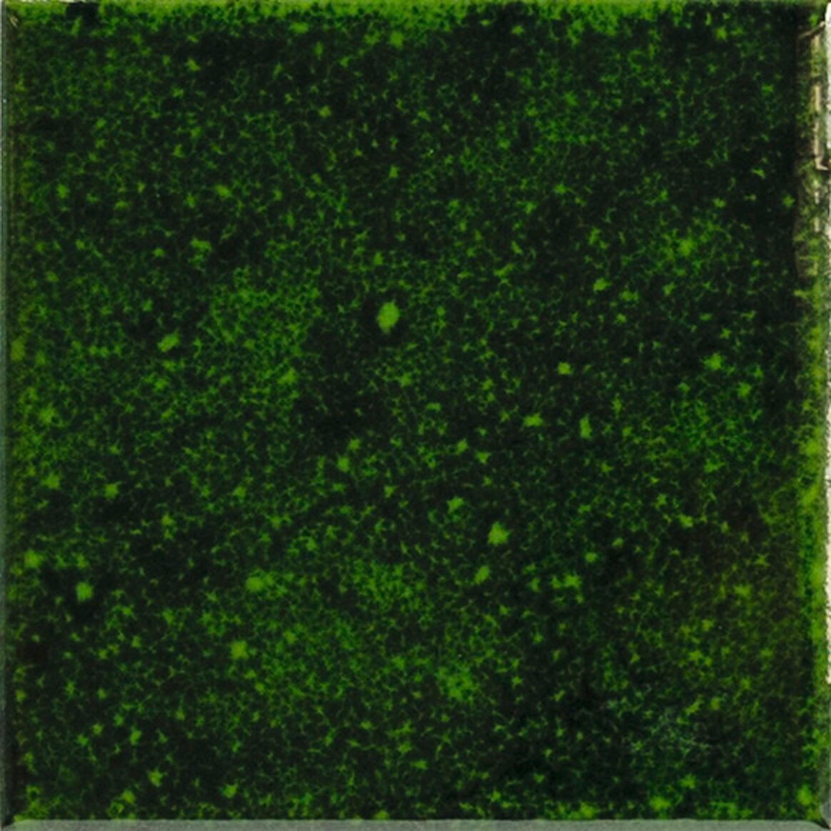 face · genuine-emerald-10x10