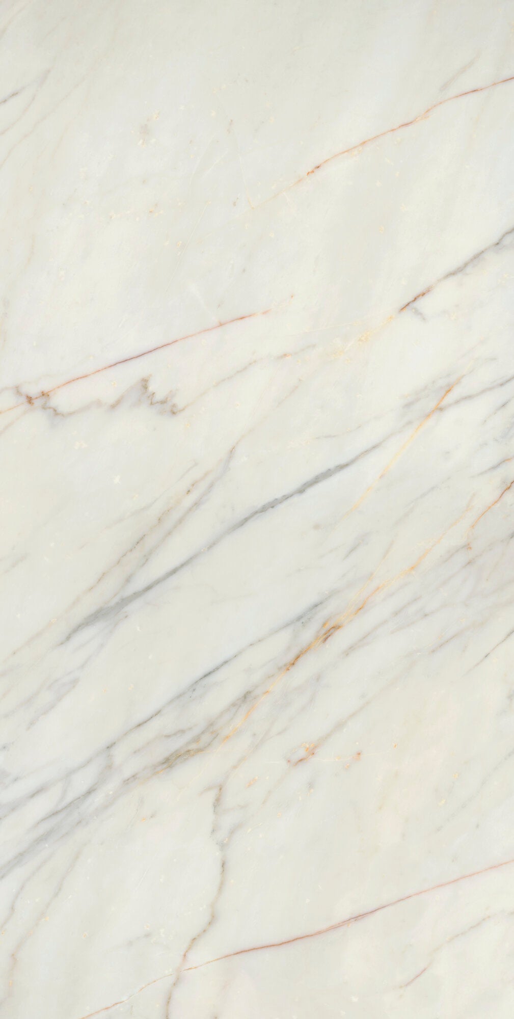 face · calacatta-slow-soft-a-163x323x12