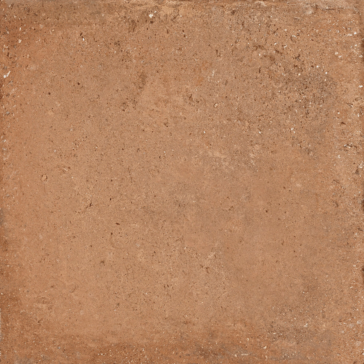 face · casale-cotto-rect-60x60